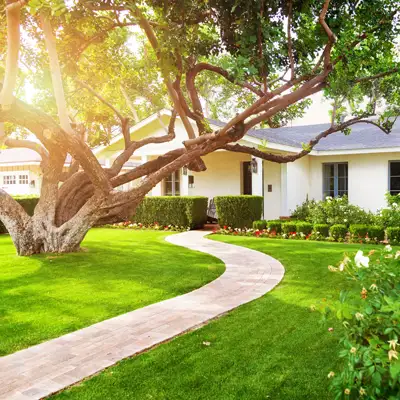 Single Story Ranch House